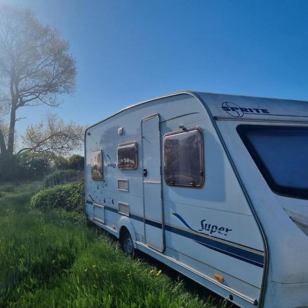 Falsterly Glamping Horbelöv 外观 照片